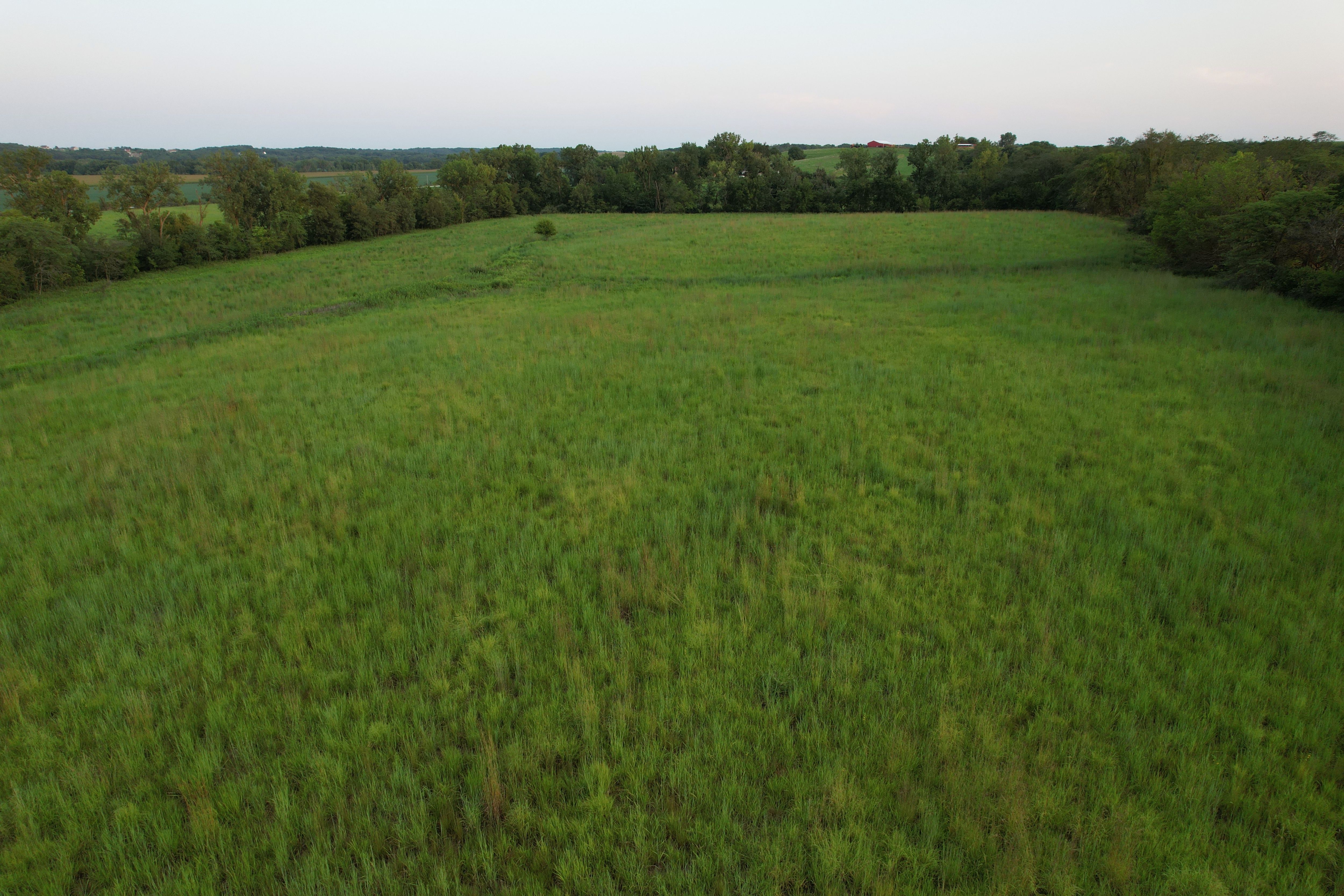 Listing Photo: Krumme Drone (33)